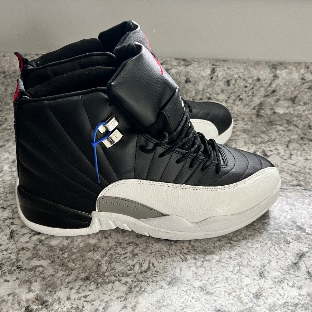 Jordan Retro 12